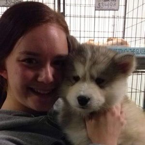 Meet your Posher, Hayley